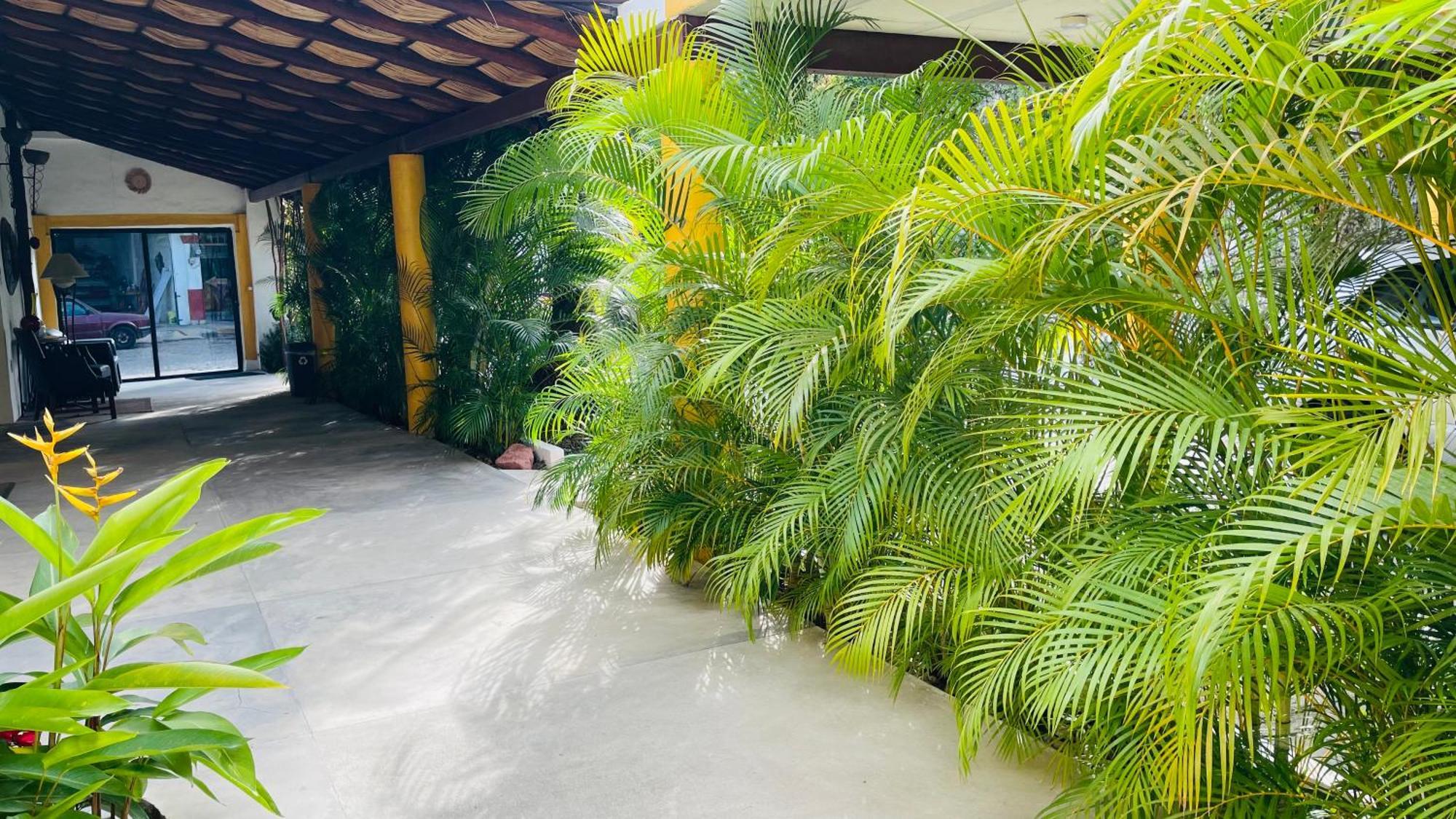 Hotel Boutique Ixaya Puerto Vallarta Kültér fotó
